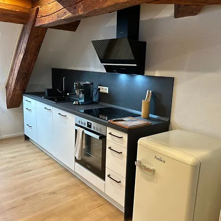 Erholungsloft Apartment Bad Buchau Exterior photo