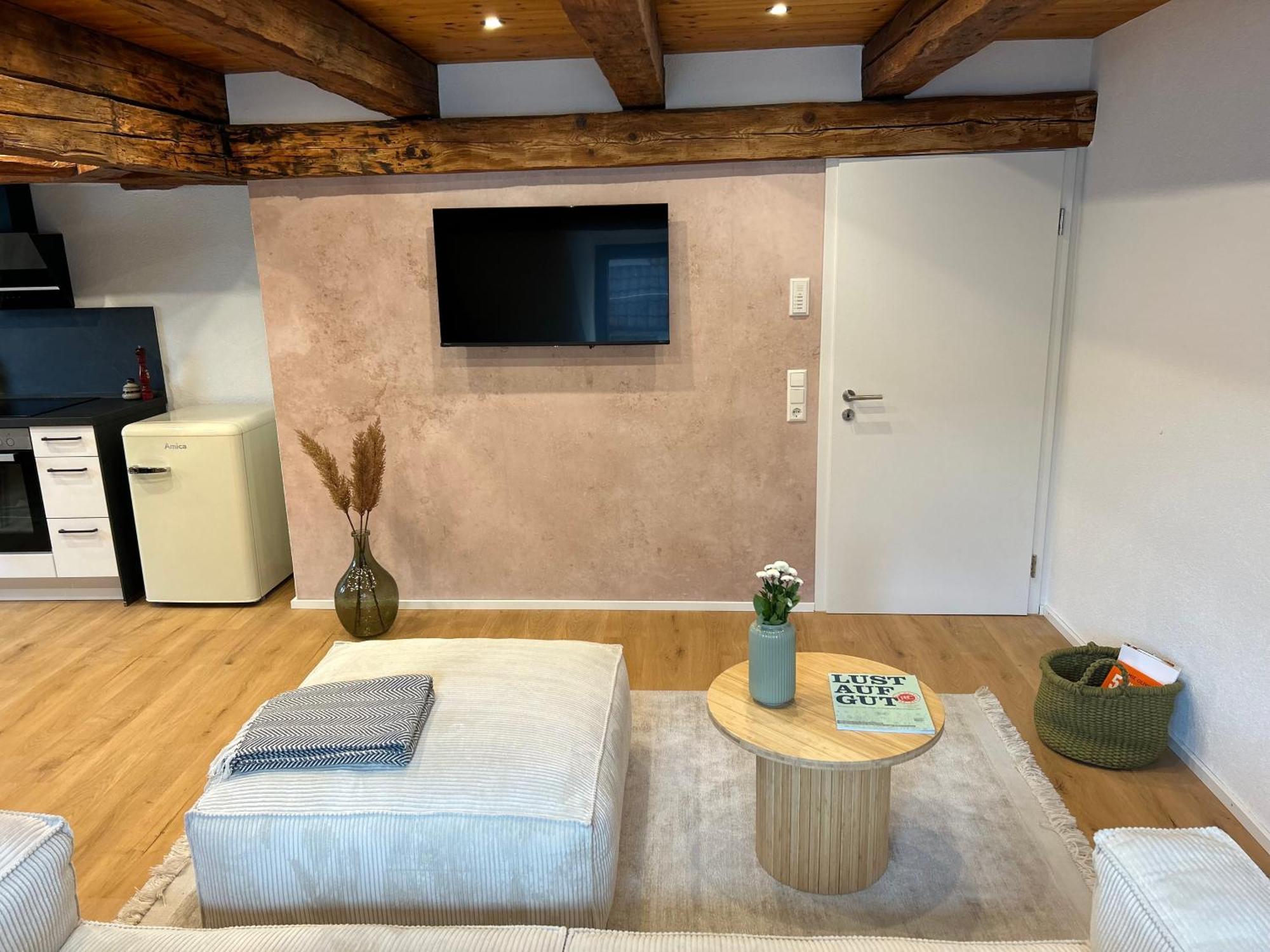 Erholungsloft Apartment Bad Buchau